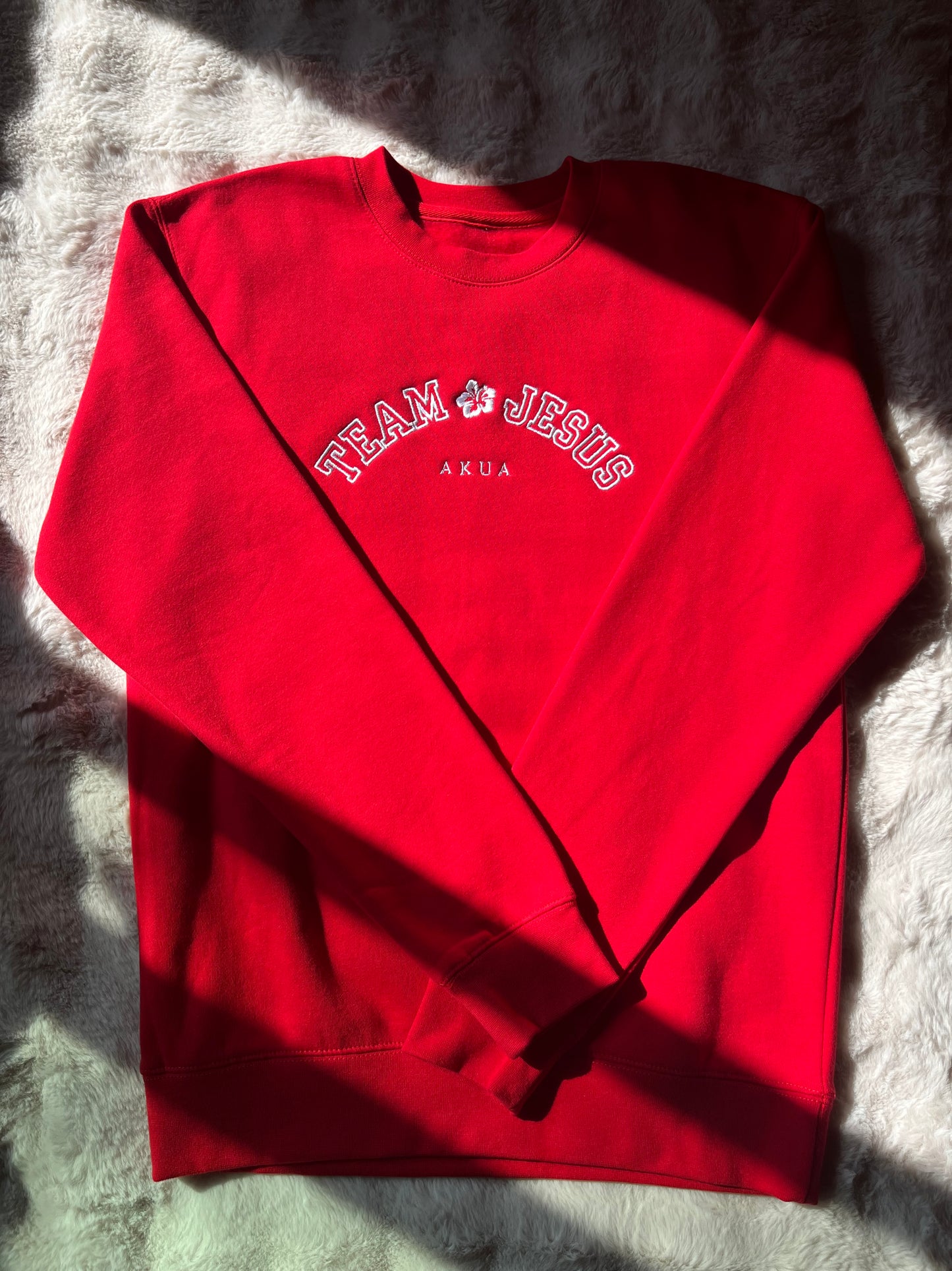 Team Jesus Embroidered Collegiate Sweatshirt